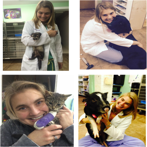 Meet the Team | Veterinary Hospital of Oak Ridge Meet the Team | Veterinary Hospital of Oak Ridge